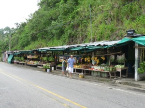 The fruit market